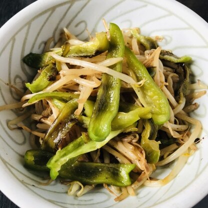 冷蔵庫にある野菜で簡単に作れるので良いですね。
あっさりとした塩味と野菜のシャキシャキした食感がよくて美味しかったです。